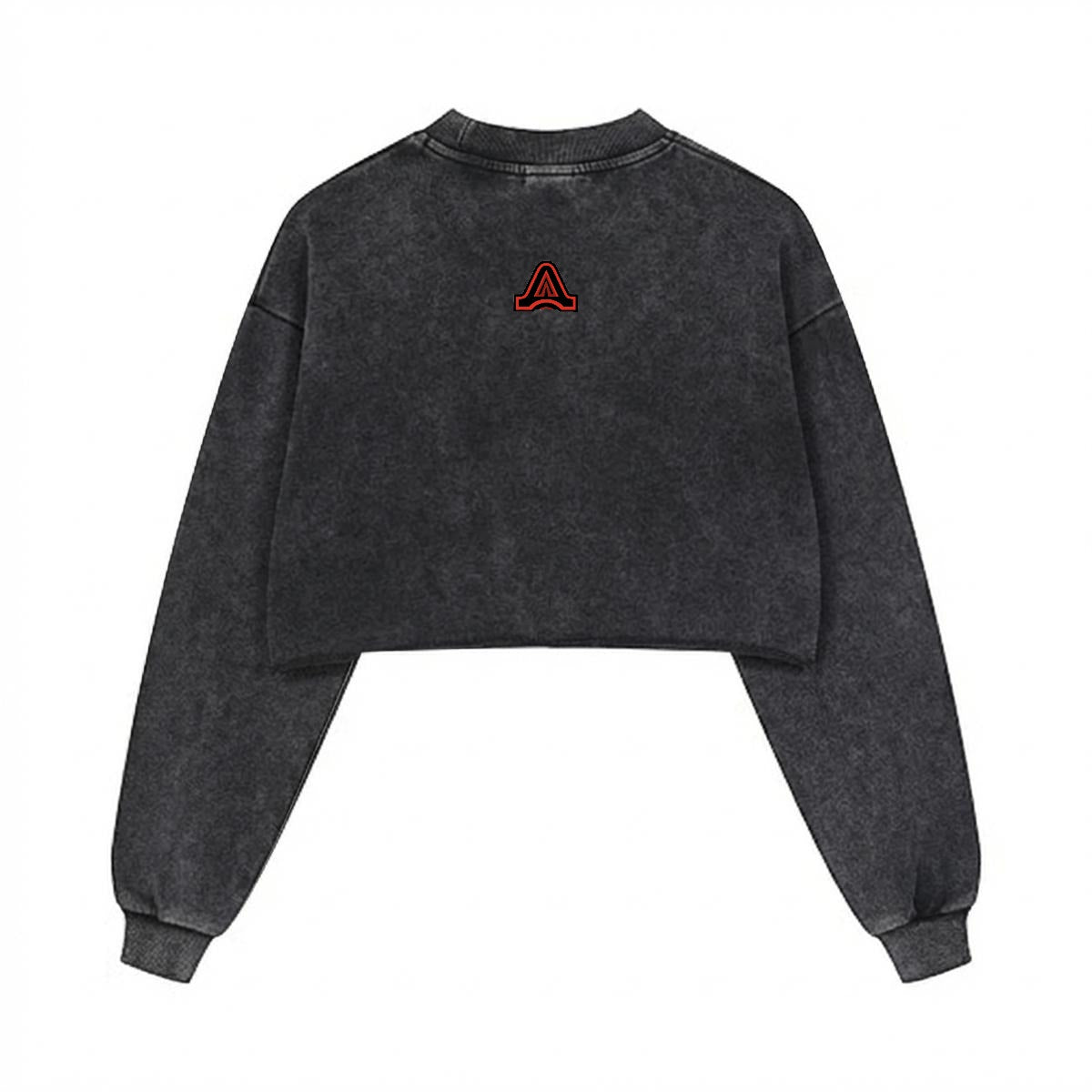 AFTERCULTURE Cropped Distressed Sweatshirt